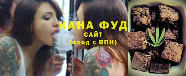 индика Новодвинск