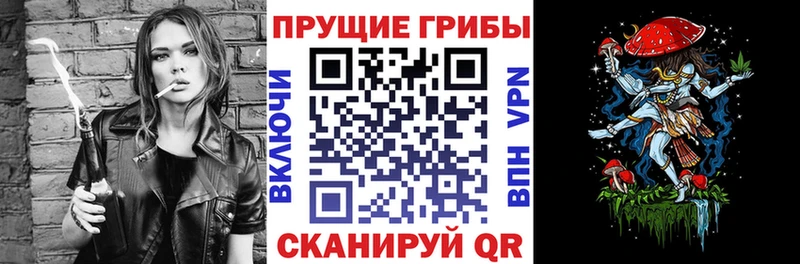 Псилоцибиновые грибы мицелий  купить наркотики цена  Советск 